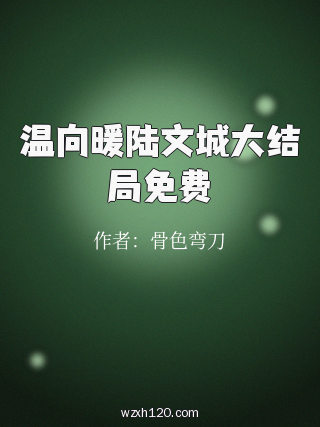 温向暖陆文城大结局免费