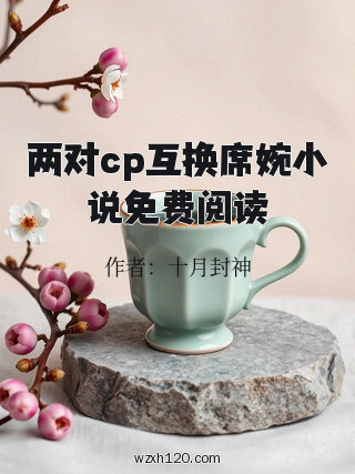 两对cp互换席婉小说免费阅读