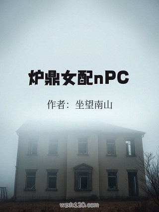 炉鼎女配nPC