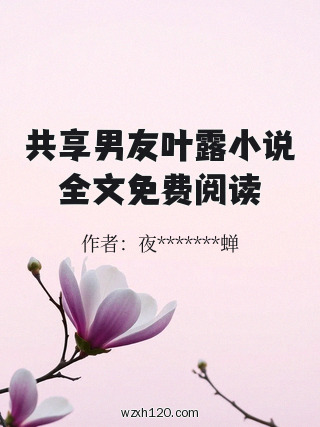 共享男友叶露小说全文免费阅读