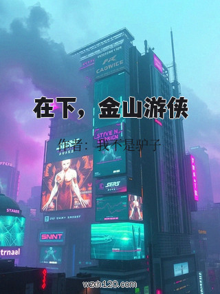 在下,金山游侠