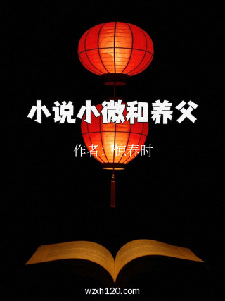 小说小微和养父