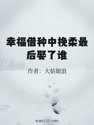 幸福借种中挽柔最后娶了谁