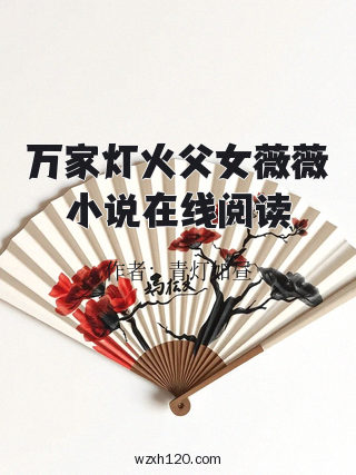 万家灯火父女薇薇小说在线阅读