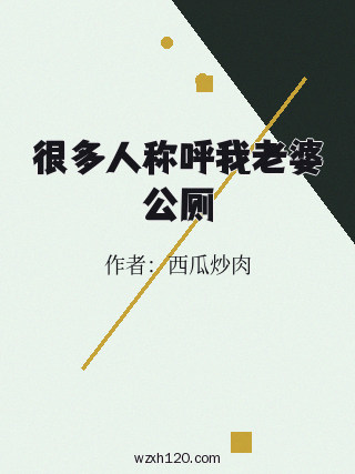 很多人称呼我老婆公厕