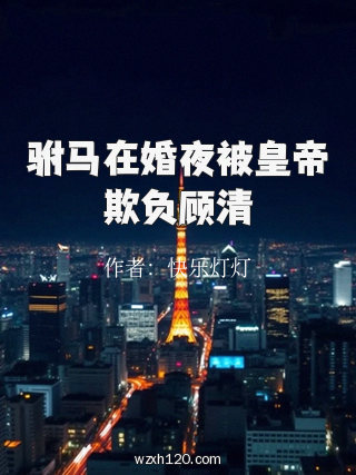 驸马在婚夜被皇帝欺负顾清