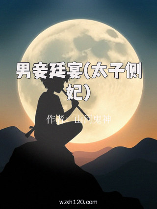 男妾廷宴(太子侧妃)
