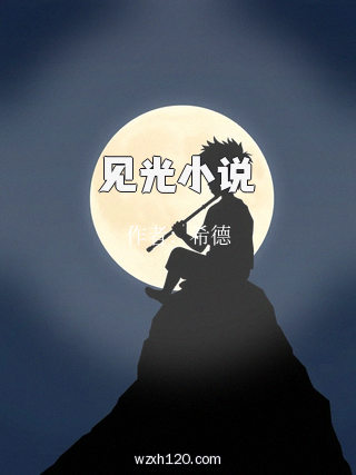 见光小说
