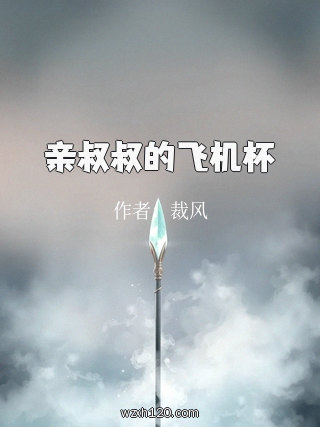 亲叔叔的飞机杯