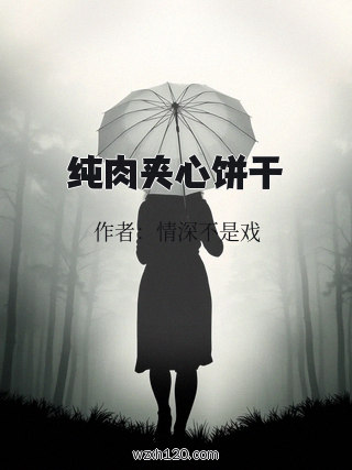 纯肉夹心饼干