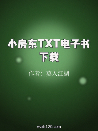 小房东TXT电子书下载