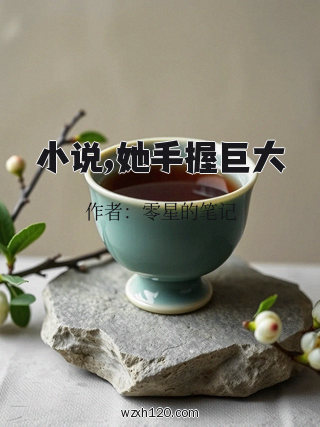 小说,她手握巨大