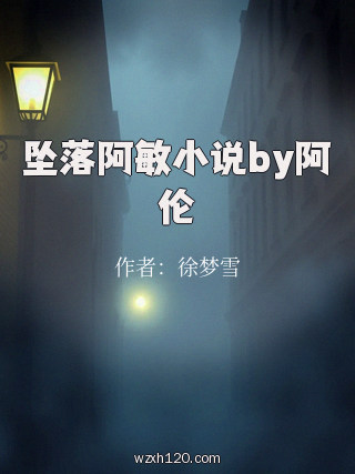 坠落阿敏小说by阿伦