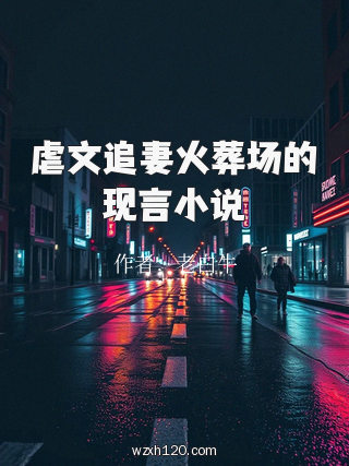虐文追妻火葬场的现言小说