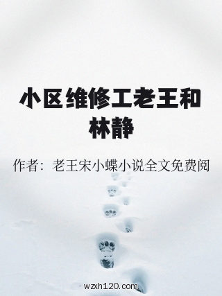 小区维修工老王和林静
