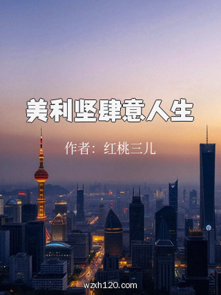 美利坚肆意人生