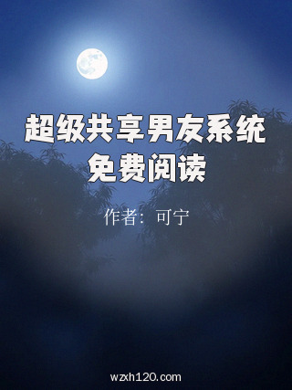 超级共享男友系统免费阅读
