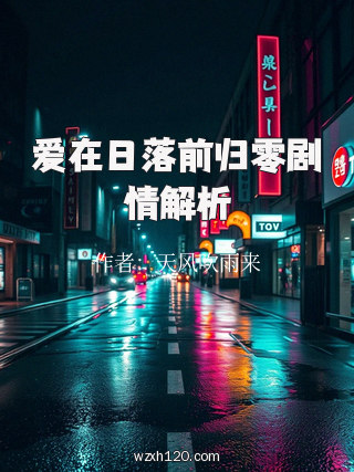 爱在日落前归零剧情解析