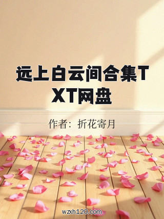 远上白云间合集TXT网盘