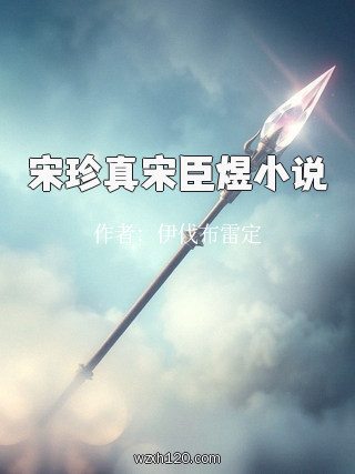 宋珍真宋臣煜小说