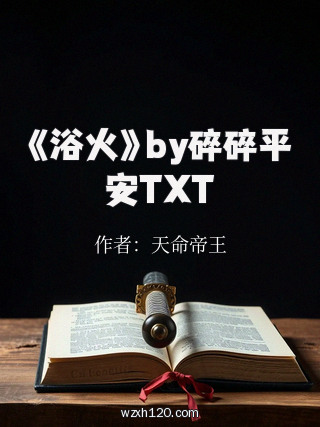 《浴火》by碎碎平安TXT
