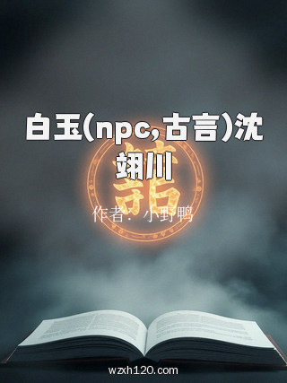 白玉(npc,古言)沈翊川