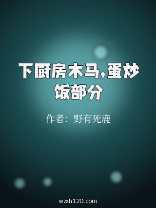 下厨房木马,蛋炒饭部分
