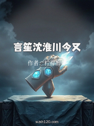 言笙沈淮川今又