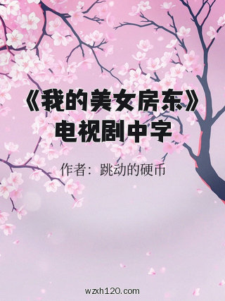 《我的美女房东》电视剧中字