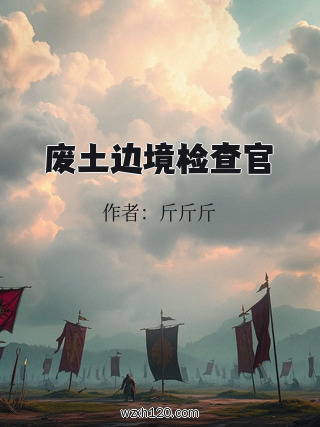 废土边境检查官