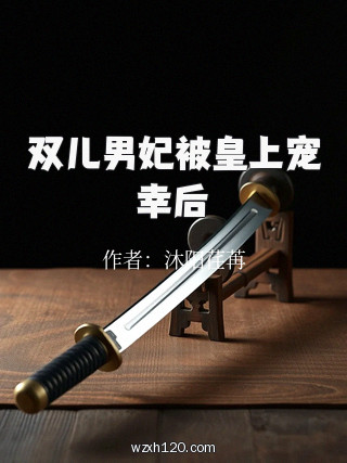 双儿男妃被皇上宠幸后