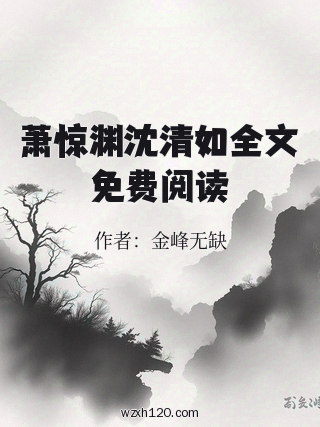 萧惊渊沈清如全文免费阅读