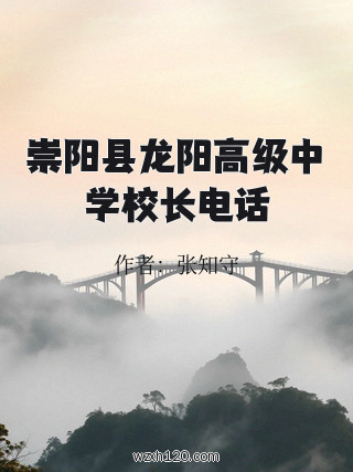 崇阳县龙阳高级中学校长电话