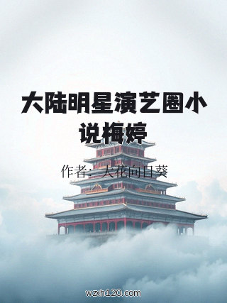 大陆明星演艺圈小说梅婷
