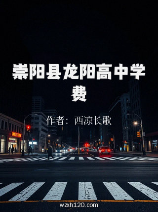 崇阳县龙阳高中学费