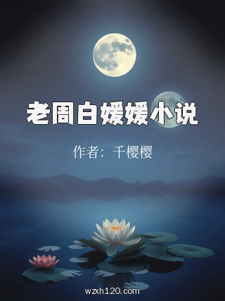 老周白媛媛小说