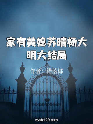 家有美媳苏晴杨大明大结局