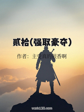 贰拾(强取豪夺)