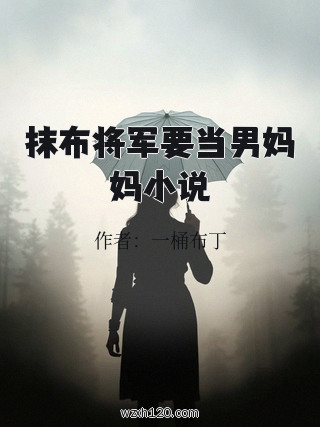 抹布将军要当男妈妈小说