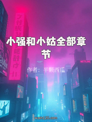 小强和小姑全部章节
