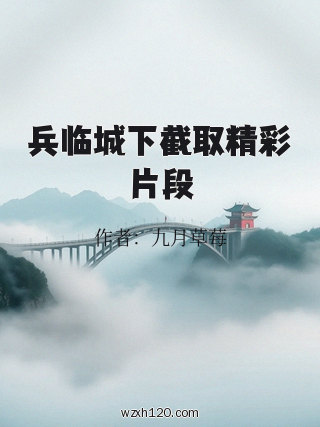 兵临城下截取精彩片段