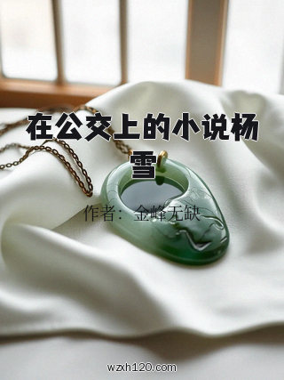 在公交上的小说杨雪