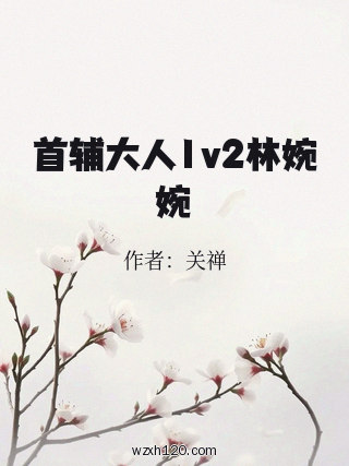 首辅大人1v2林婉婉