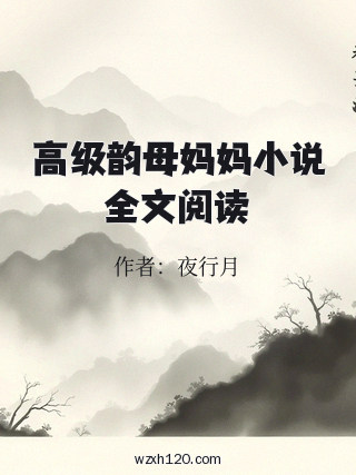 高级韵母妈妈小说全文阅读