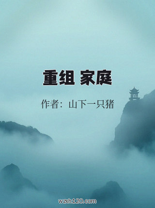 重组 家庭