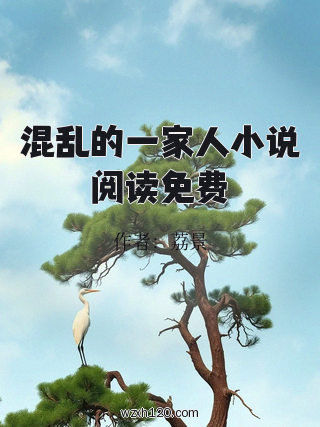 混乱的一家人小说阅读免费