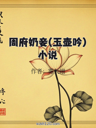 周府奶妾(玉壶吟)小说