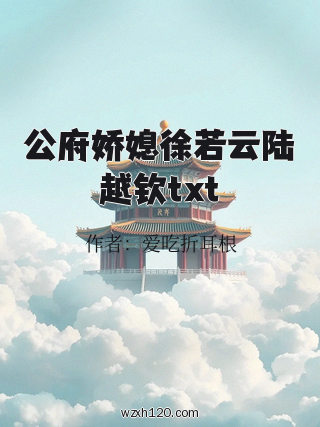 公府娇媳徐若云陆越钦txt