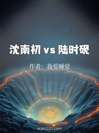 沈南初 vs 陆时砚
