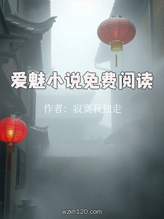 爱魅小说免费阅读